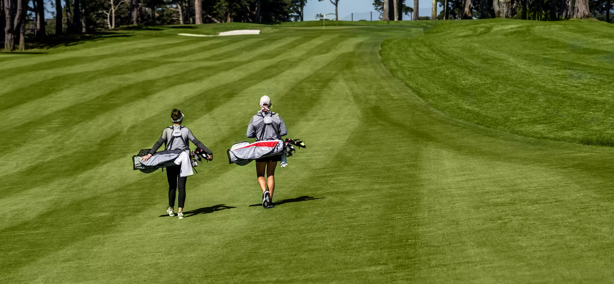 Golf Clubs Elegant Shop -Golf Clubs Elegant Shop 4