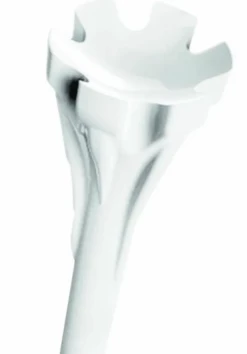 Champ Zarma White Fly Tee 83Mm 7 Champ Zarma White Fly Tee 83Mm -Golf Clubs Elegant Shop IMG 1482