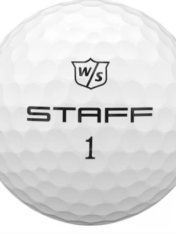Wilson Staff Model 8 Wilson Staff Model -Golf Clubs Elegant Shop IMG 3086