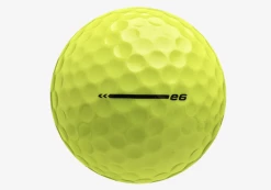 Bridgestone E6 Golf Balls Yellow 1 Dozen - Brand New -Golf Clubs Elegant Shop IMG 4065 Copy